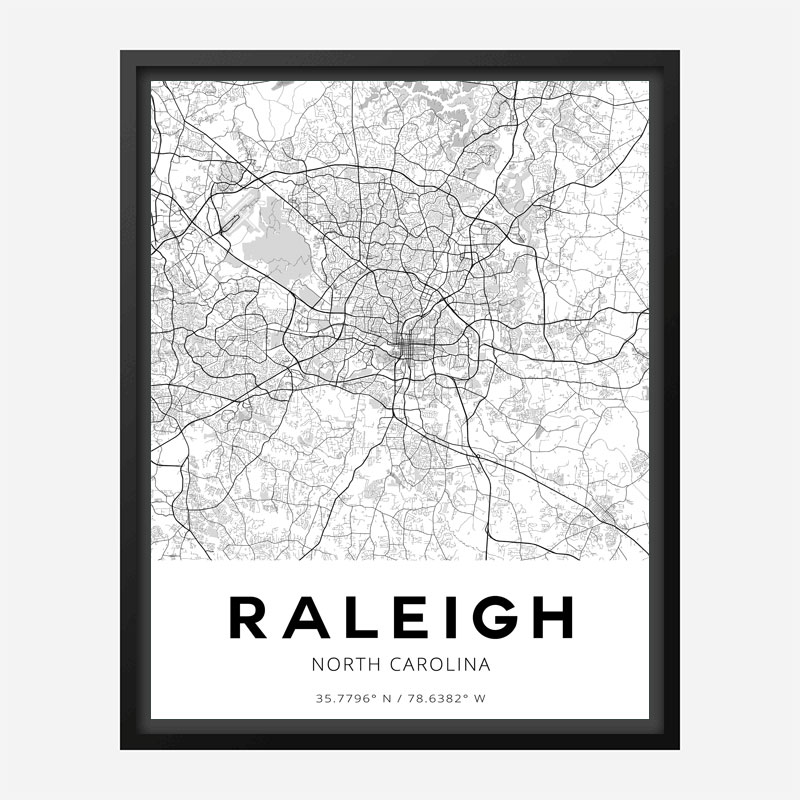 Raleigh North Carolina City Map Art Print