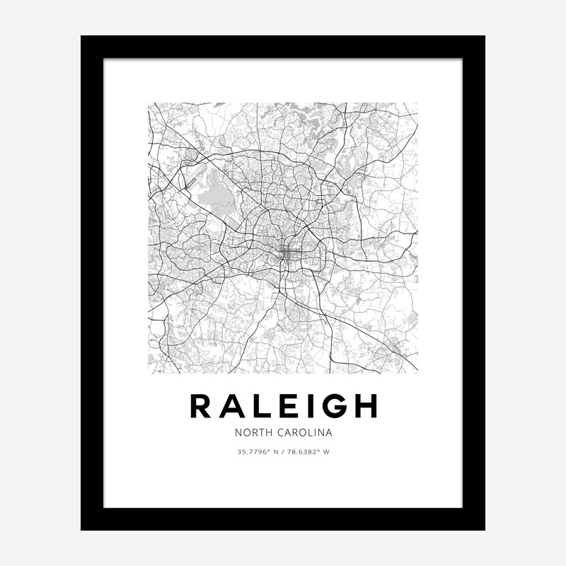 Raleigh North Carolina City Map Art Print