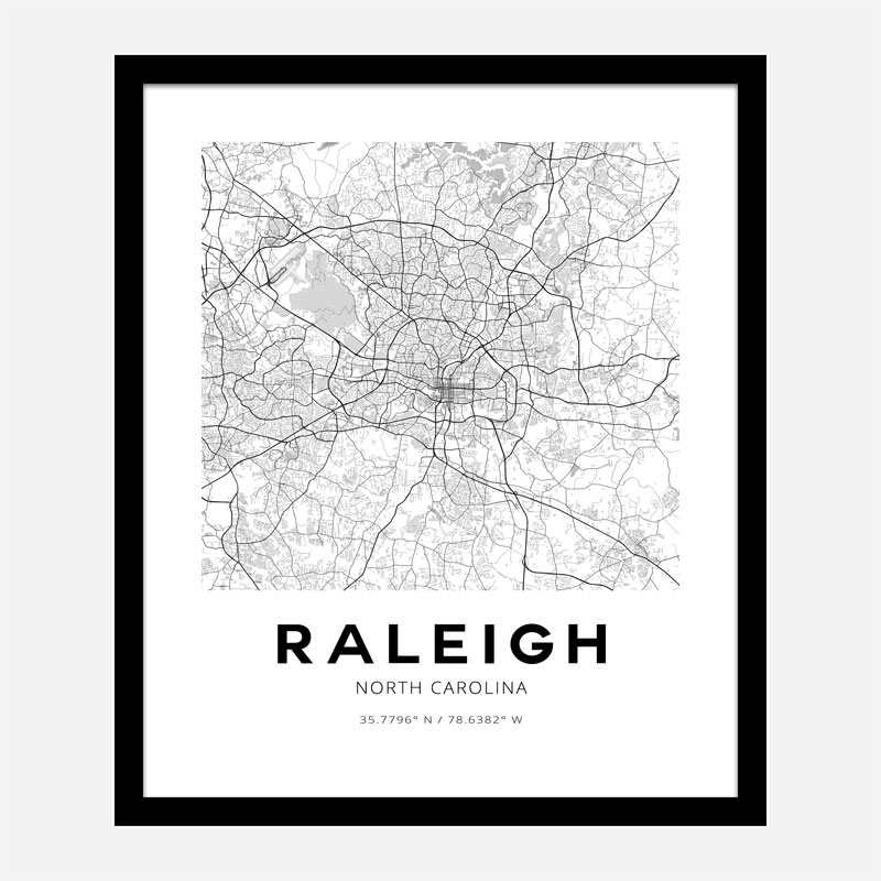 Raleigh North Carolina City Map Art Print