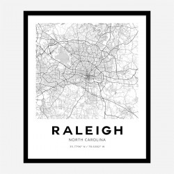 Raleigh North Carolina City Map Art Print