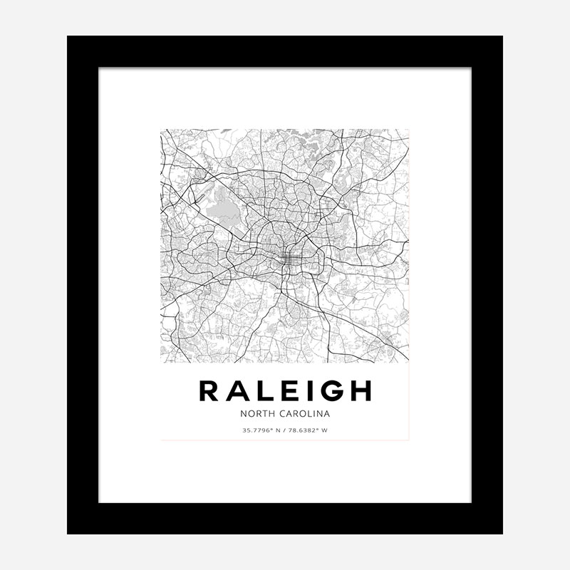 Raleigh North Carolina City Map Art Print