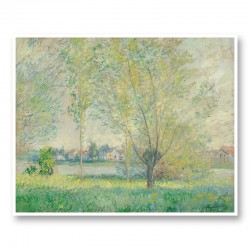 The Willows by Claude Monet Art Print