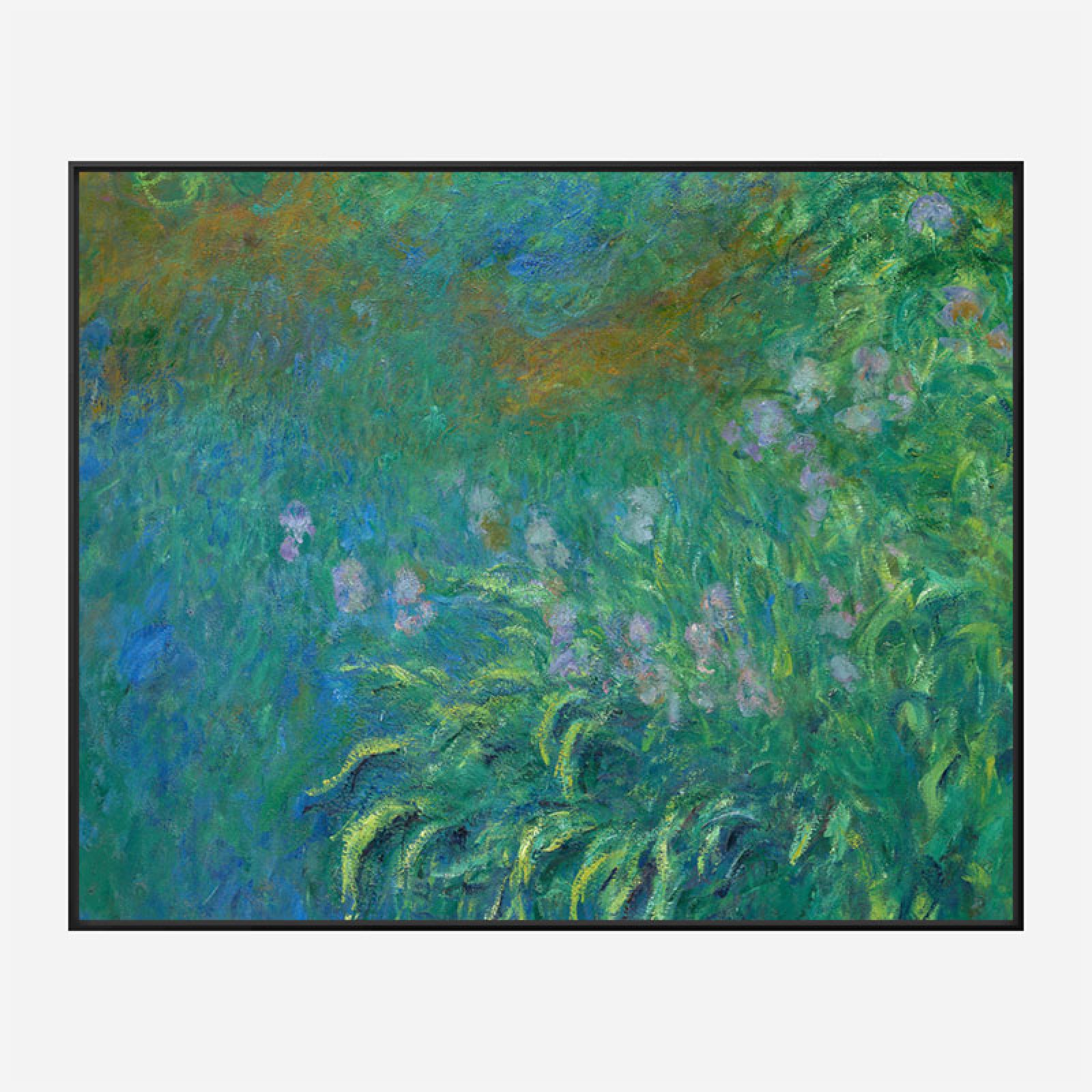 Irises by Claude Art Print