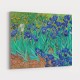 Irises 1889 by Vincent Van Gogh Art Print