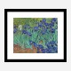 Irises 1889 by Vincent Van Gogh Art Print