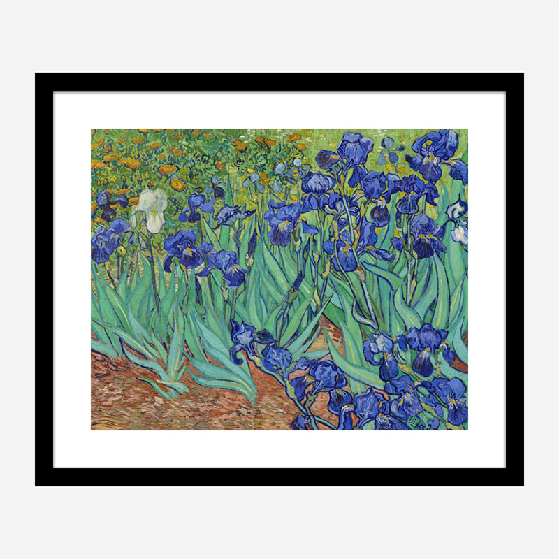 Irises 1889 by Vincent Van Gogh Art Print