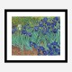 Irises 1889 by Vincent Van Gogh Art Print