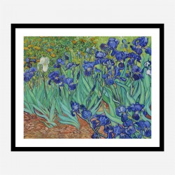 Irises 1889 by Vincent Van Gogh Art Print