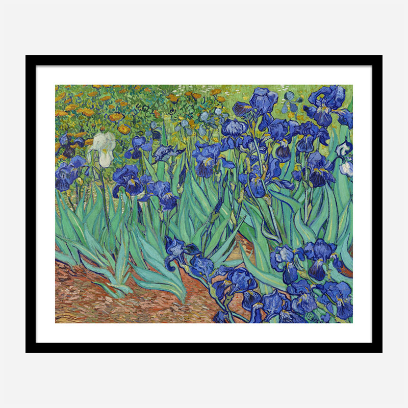 Irises 1889 by Vincent Van Gogh Art Print