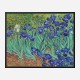 Irises 1889 by Vincent Van Gogh Art Print
