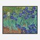 Irises 1889 by Vincent Van Gogh Art Print