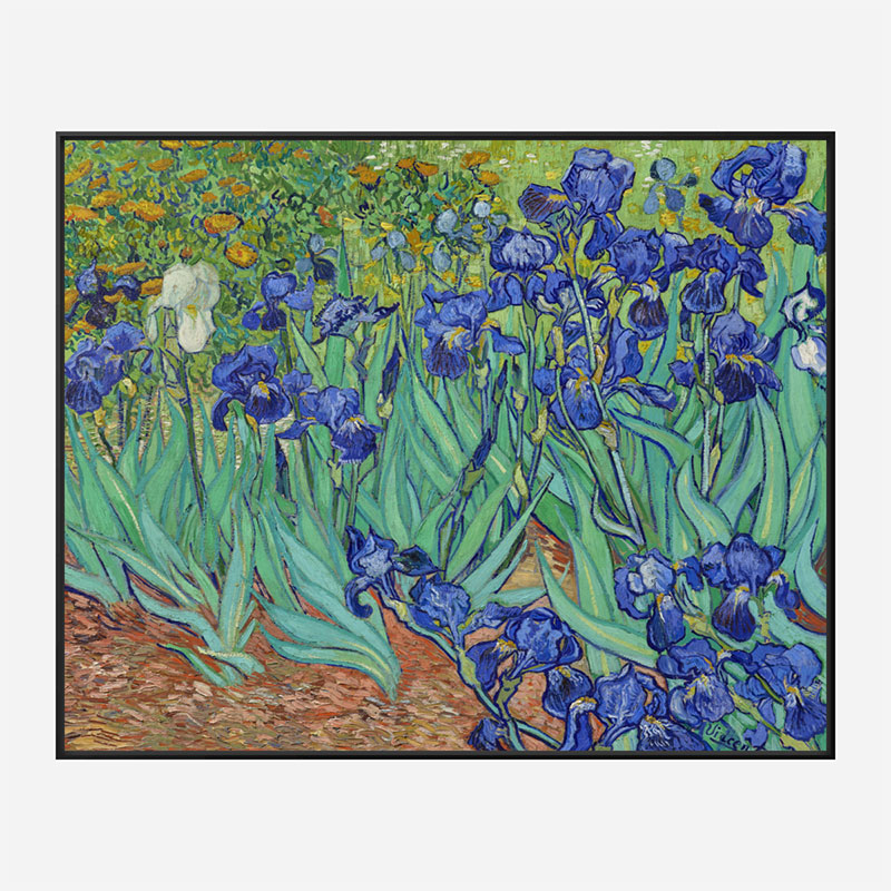 Irises 1889 by Vincent Van Gogh Art Print