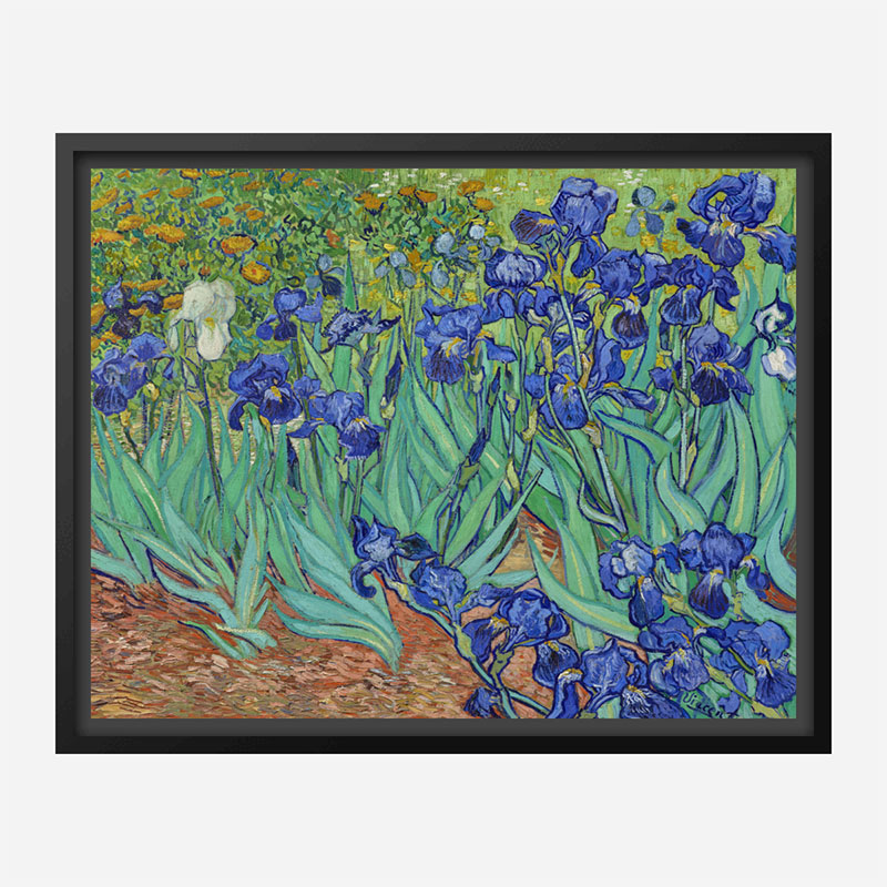 Irises 1889 by Vincent Van Gogh Art Print