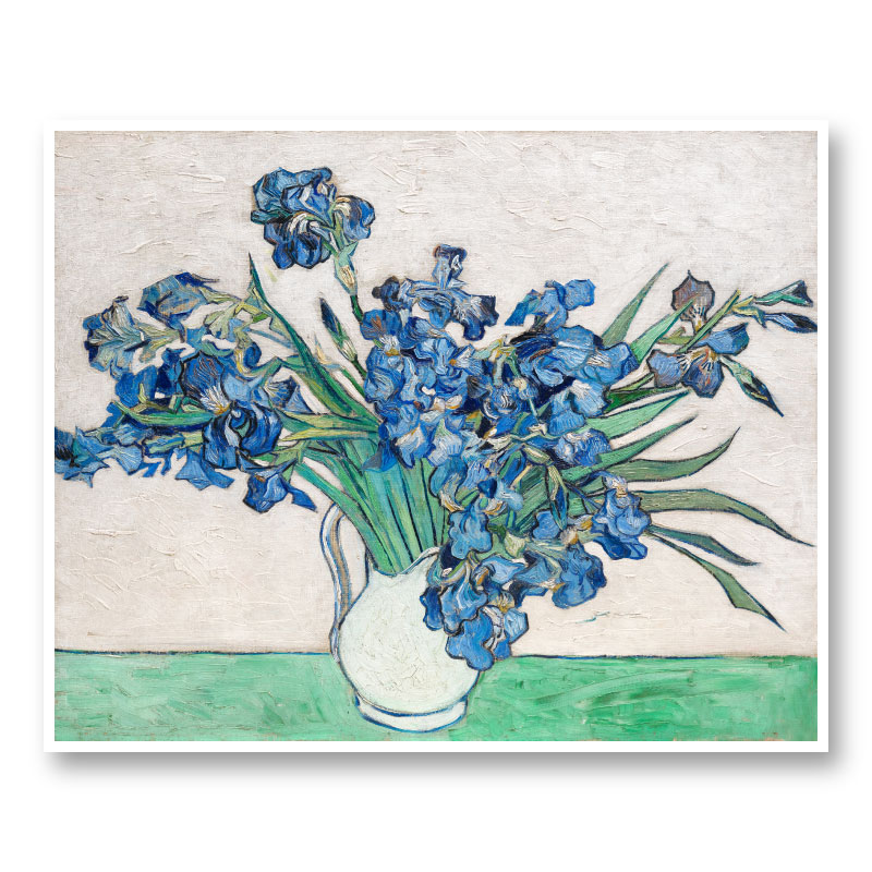 Irises 1890 by Vincent Van Gogh Art Print