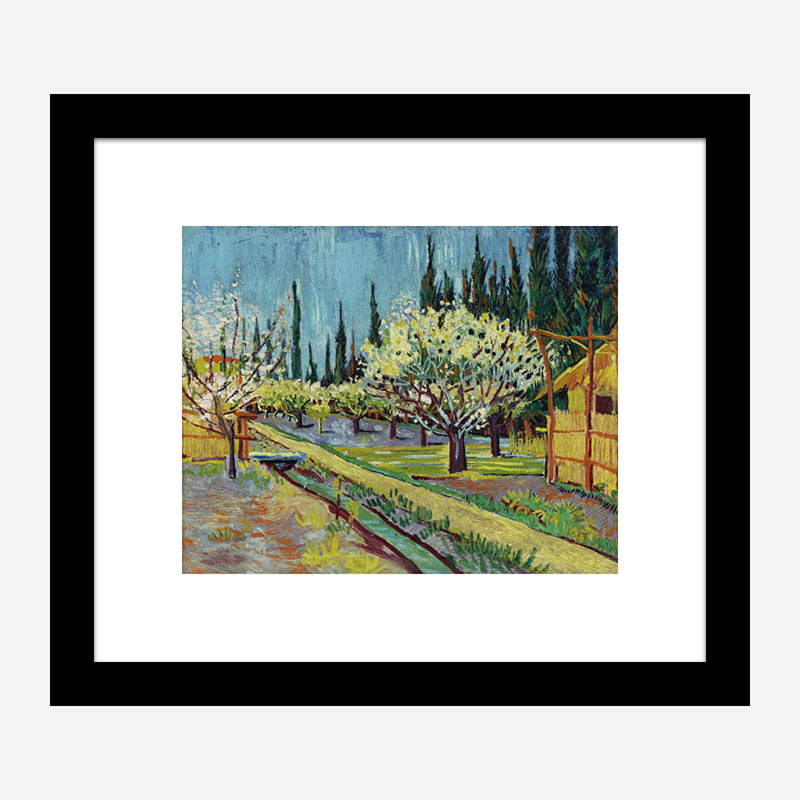 Orchard Bordered by Cypresses by Vincent Van Gogh Art Print