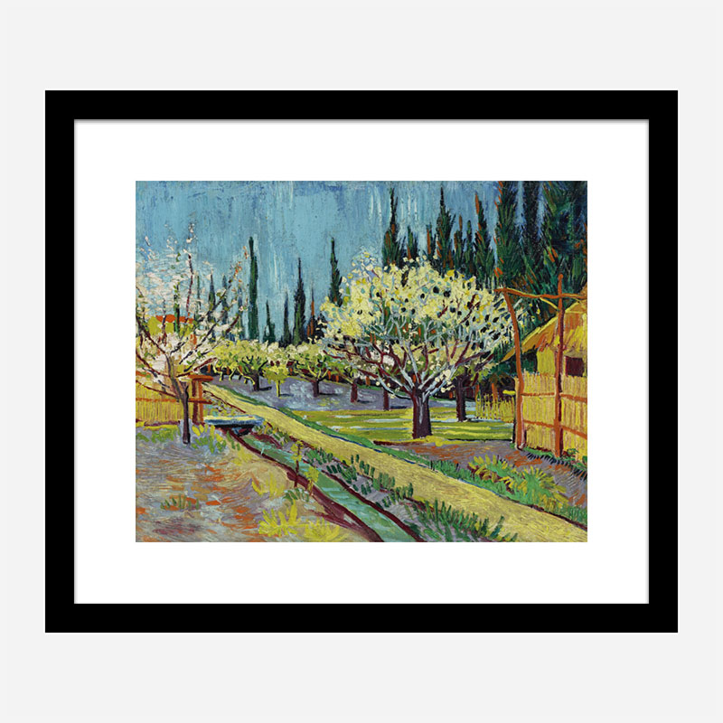 Orchard Bordered by Cypresses by Vincent Van Gogh Art Print