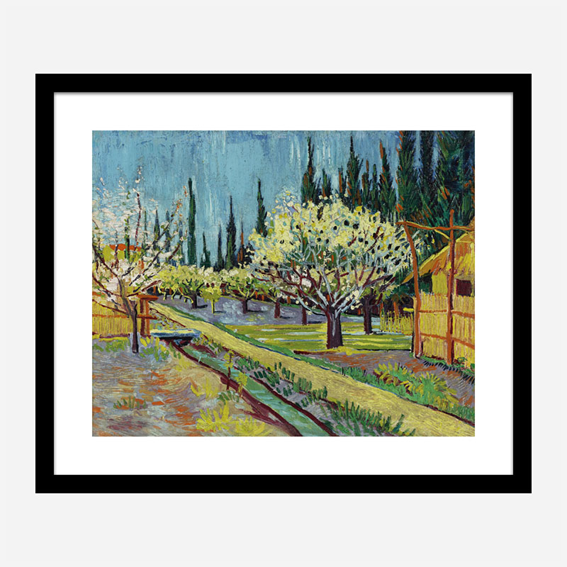 Orchard Bordered by Cypresses by Vincent Van Gogh Art Print