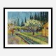 Orchard Bordered by Cypresses by Vincent Van Gogh Art Print