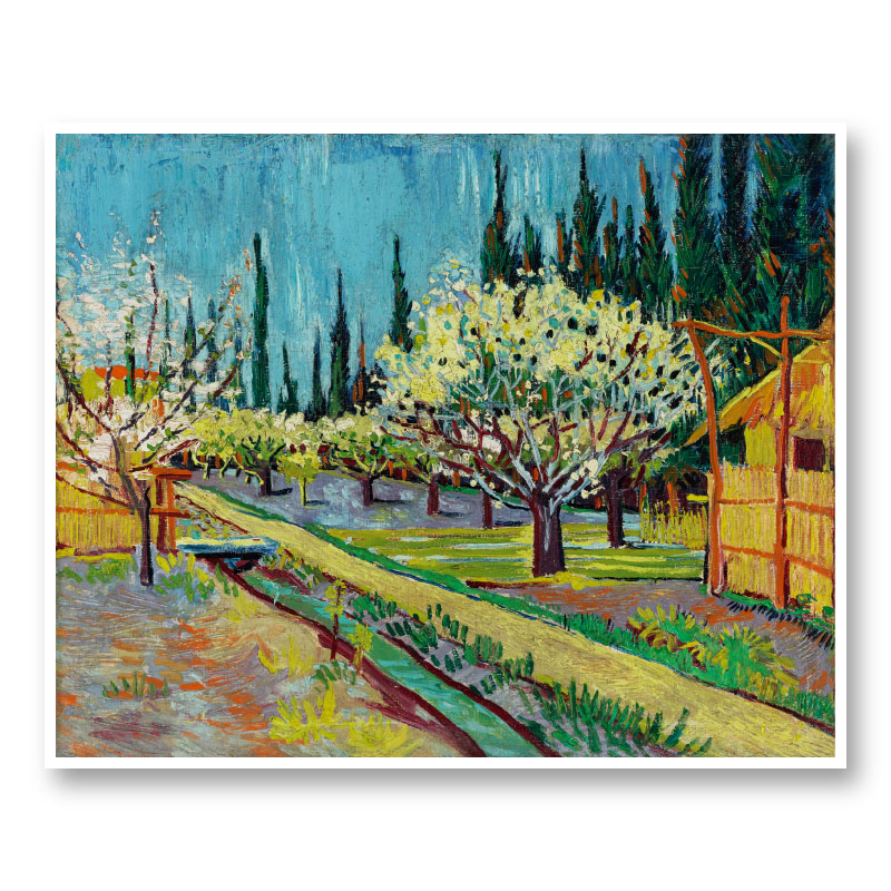 Orchard Bordered by Cypresses by Vincent Van Gogh Art Print