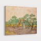 Women Picking Olives by Vincent Van Gogh Art Print