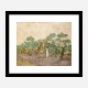 Women Picking Olives by Vincent Van Gogh Art Print