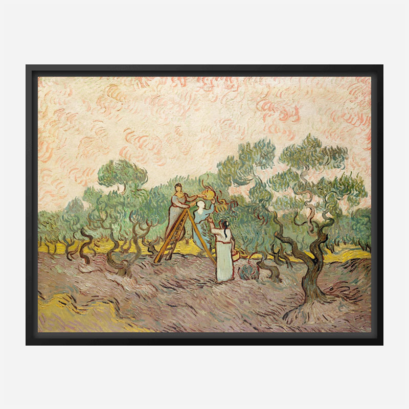 Women Picking Olives by Vincent Van Gogh Art Print