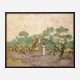 Women Picking Olives by Vincent Van Gogh Art Print