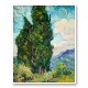 Cypresses by Vincent Van Gogh Art Print