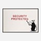 Security Protected Banksy Wall Art