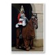 Horse Guard By Banksy Art Print