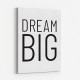 Dream Big Art Print