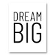 Dream Big Art Print