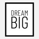 Dream Big Art Print