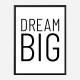 Dream Big Art Print