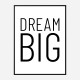 Dream Big Art Print