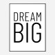 Dream Big Art Print