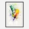 Framed Print 