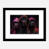 Framed Print 