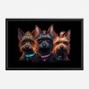 Framed Canvas 