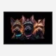 Yorkshire Terrier Gangster Dogs 2