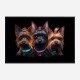 Yorkshire Terrier Gangster Dogs 2