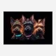 Yorkshire Terrier Gangster Dogs 2