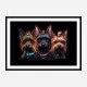 Yorkshire Terrier Gangster Dogs 2