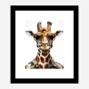 Framed Print 