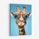 Giraffe In Shades 2 Art Print
