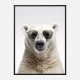 Polar Shades Art Print