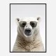 Polar Shades Art Print