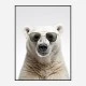 Polar Shades Art Print
