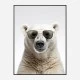 Polar Shades Art Print