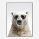Polar Shades Art Print
